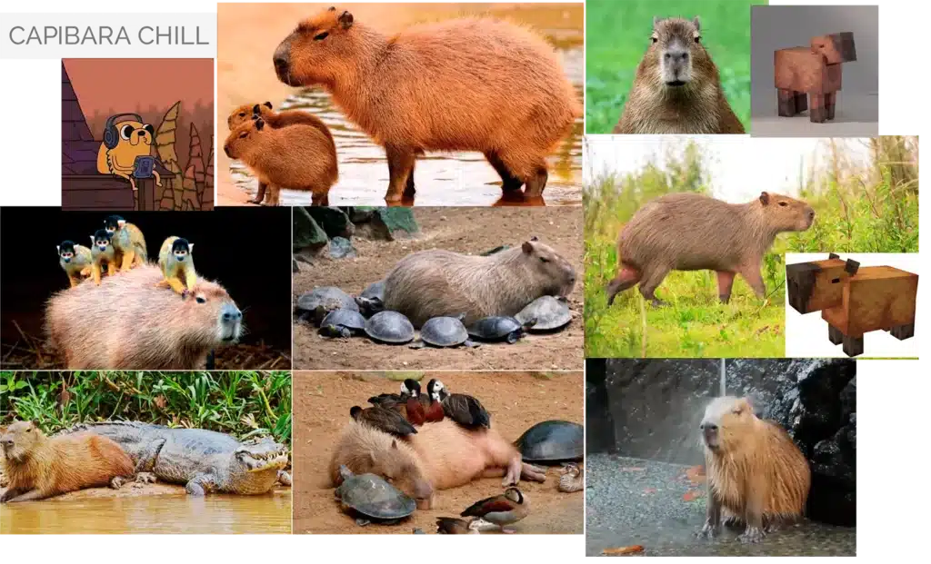 moodboard capibara